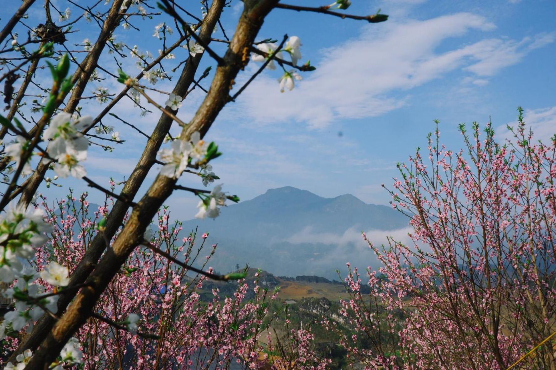 Ta Phin Cottage Sapa Exterior foto