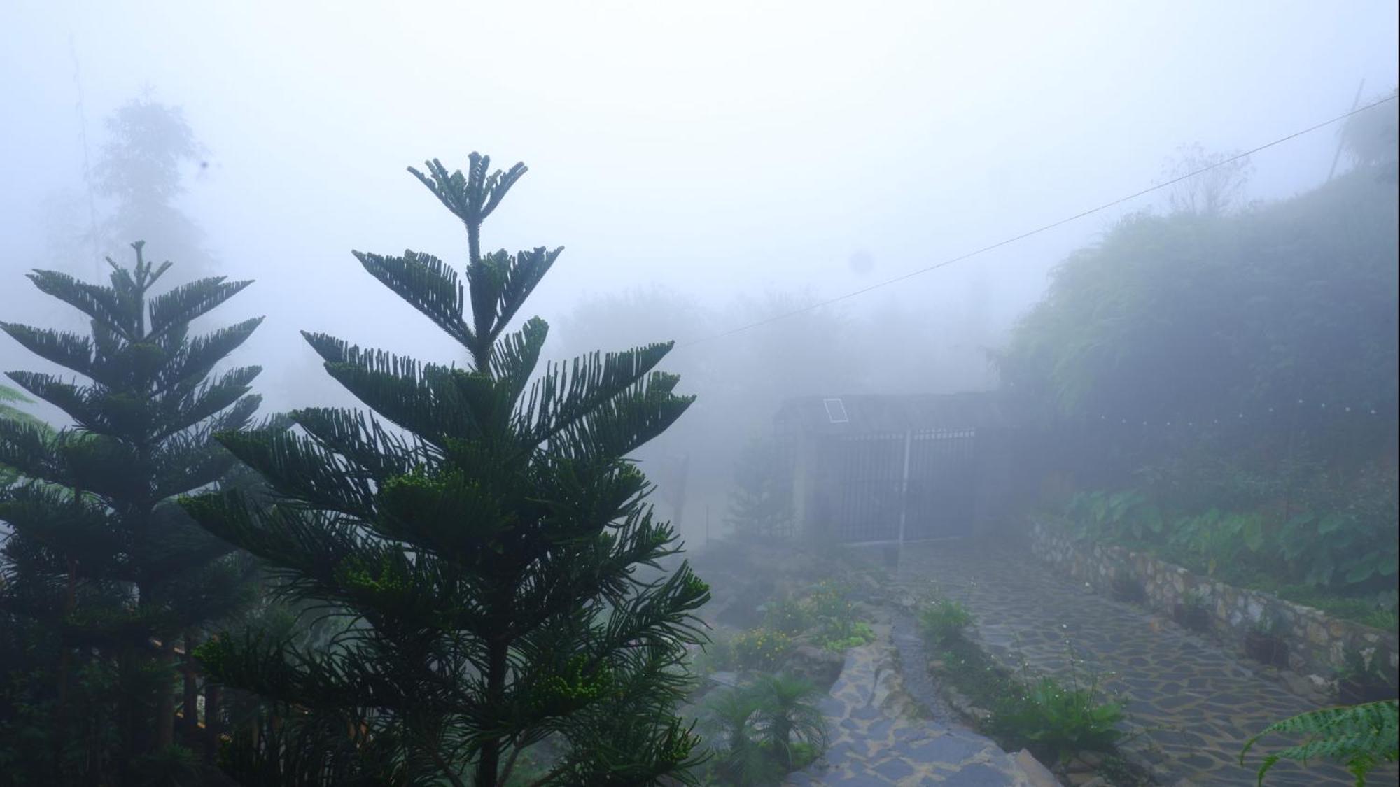 Ta Phin Cottage Sapa Exterior foto
