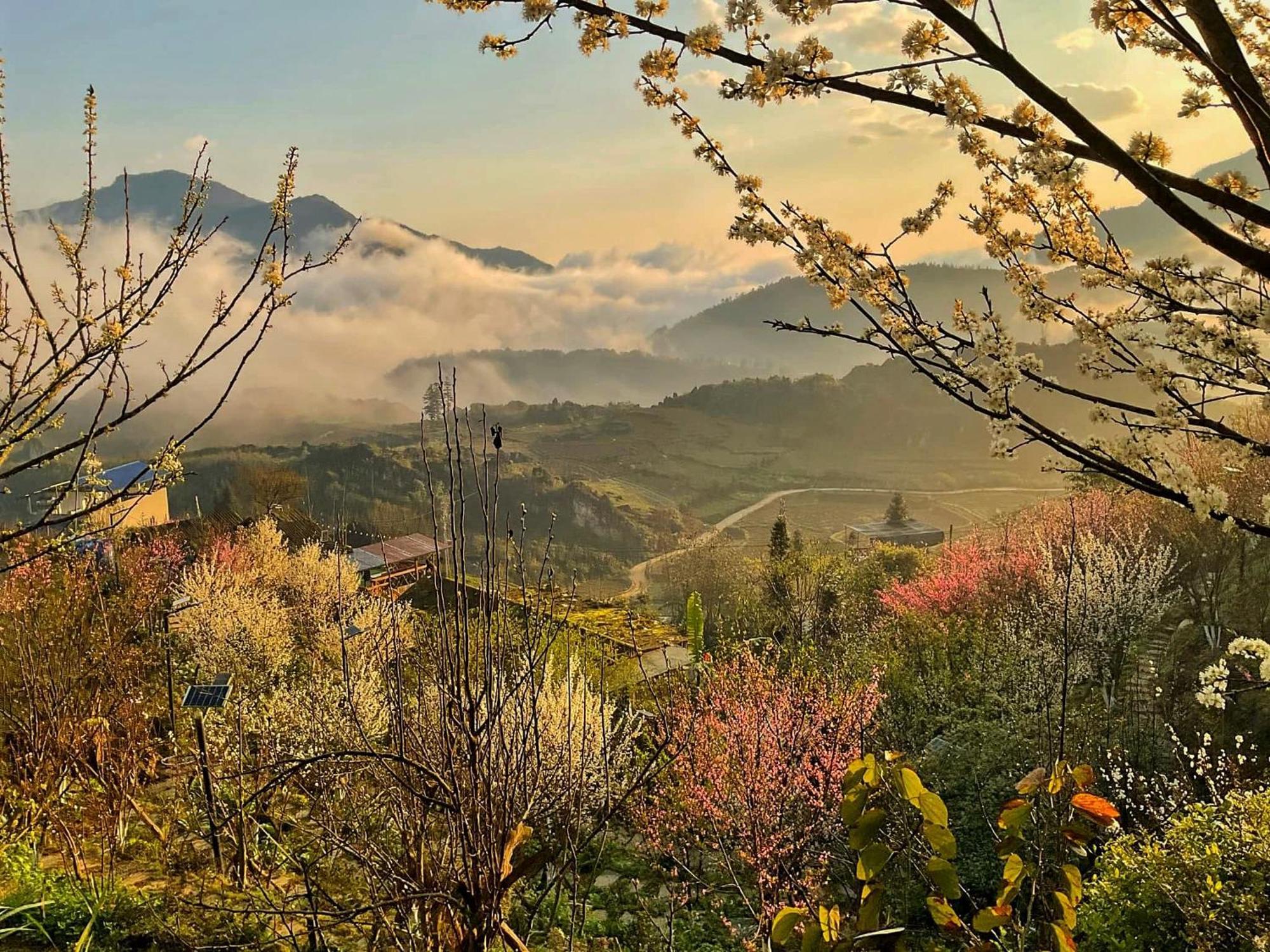 Ta Phin Cottage Sapa Exterior foto